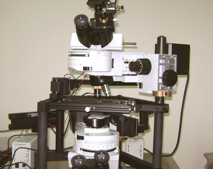 Microscopy (NSOM)